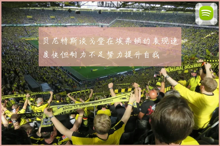 贝尼特斯谈戈登在埃弗顿的表现速度快但耐力不足努力提升自我