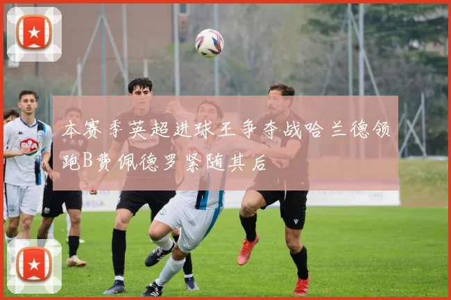 本赛季英超进球王争夺战哈兰德领跑B费佩德罗紧随其后